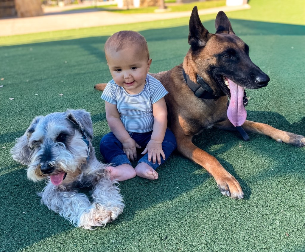 Well, it was time for&nbsp;Thanksgiving…